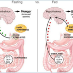 Blood Sugar Control
