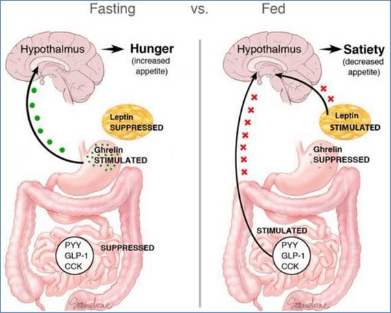 Blood Sugar Control